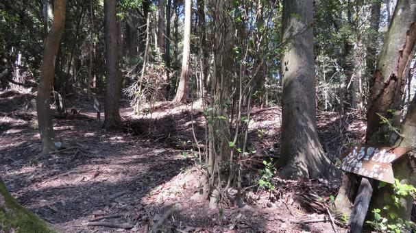 宇佐山城 城跡の風景 登山道 宇佐山城 城跡の風景 登山道の写真