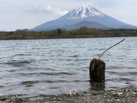 富士山 富士山,湖,自然の写真素材
