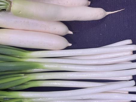 ネギと大根 ネギ,ねぎ,葱の写真素材