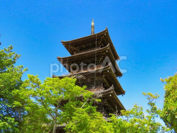 岡山県 備中国分寺の五重塔 備中国分寺,吉備路,岡山県の写真素材