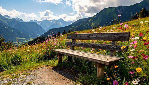 山道のベンチ 山道のベンチの写真