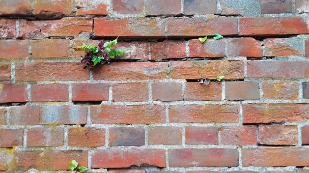 やや古いレンガ塀・1 レンガ,壁,味わい深いの写真素材
