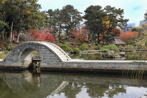 縮景園紅葉 広島県,広島市,名勝の写真素材