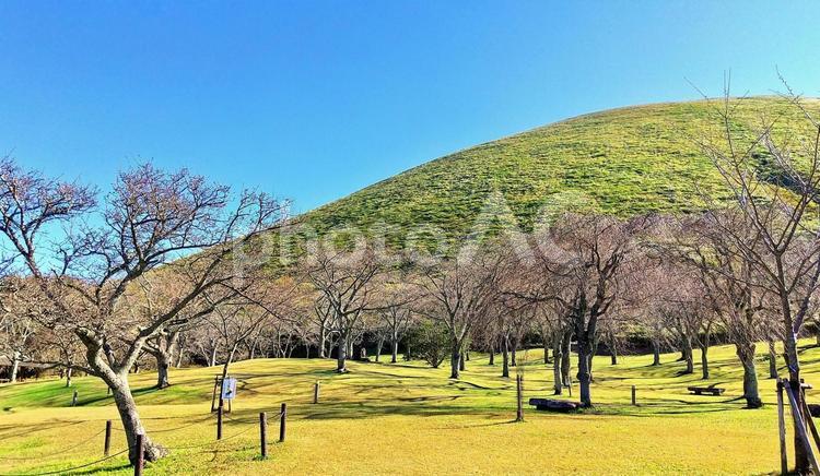 晩秋の光と影　大室山 大室山,晩秋,秋空の写真素材
