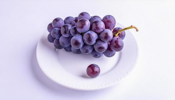 秋の味覚　白バックの巨峰の写真