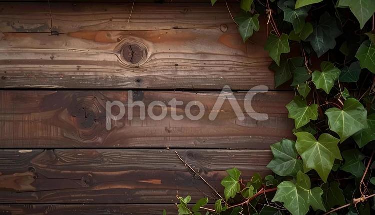 ツタの絡むダークウッド　木目テクスチャ ダークウッド,蔦,背景の写真素材