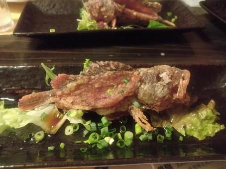 カサゴの姿揚げ カサゴの姿揚げ カサゴの姿揚げ,カサゴ,魚料理の写真素材