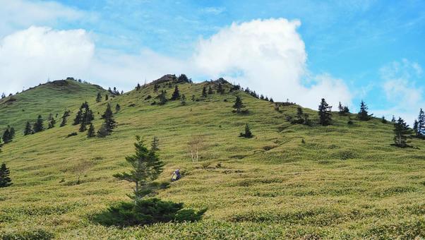 Photo, landscape, natural, the scenery, 