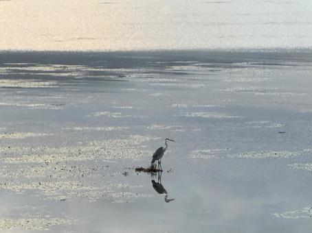 諏訪湖 諏訪湖,湖,諏訪の写真素材