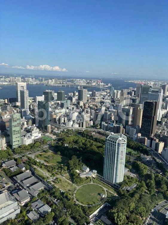 東京タワーから見える景色 東京タワー,街並,ビルの写真素材
