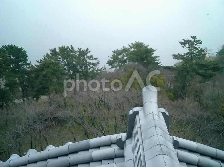 長浜城からの琵琶湖 長浜城,長浜,近江の写真素材