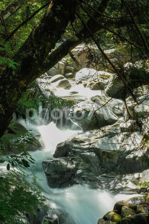 付知峡の自然 付知峡,自然,風景の写真素材