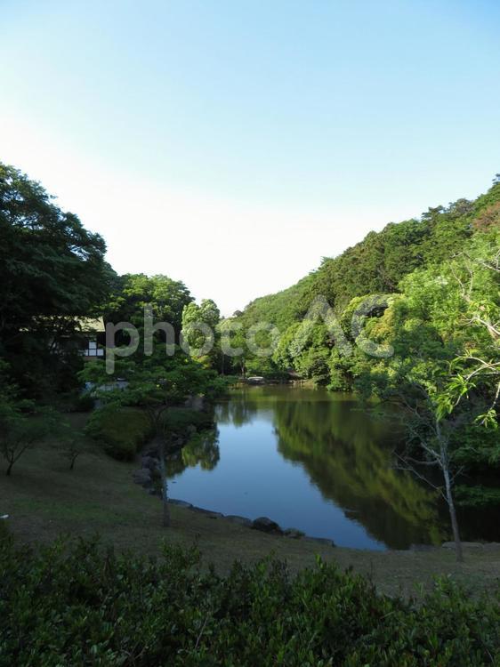 高原リゾートのような鎌倉中央公園風景 公園,池,ため池の写真素材