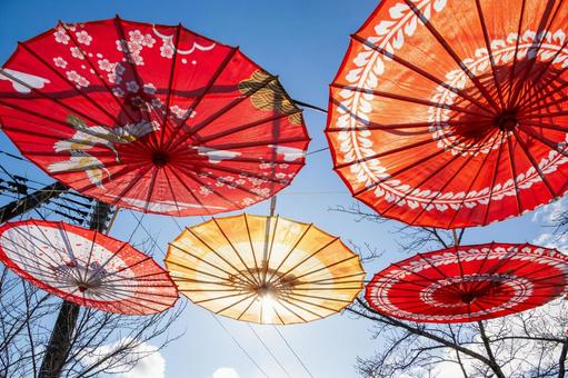 仙台八坂神社(31) 神社,仙台八坂神社,晩秋の写真素材