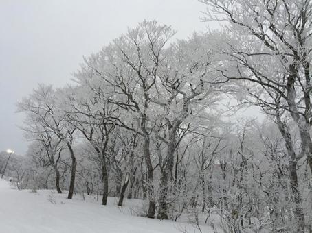 ski resort, JPG