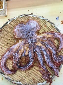 タコせんべい(タコの姿焼き) タコせんべい(タコの姿焼き) タコ,せんべい,姿焼きの写真素材