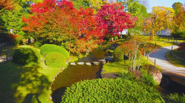 姫路城 好古園19 紅葉,秋,日本庭園の写真素材