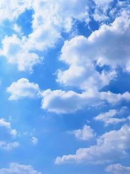 8月、午後の青空と雲 8月、午後の青空と雲の写真