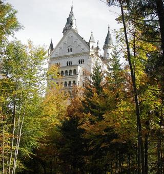 森にたたずむノイシュバンシュタイン城の写真