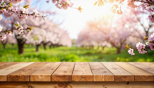 桜吹雪の舞う桜と新緑　木目のテーブルの写真