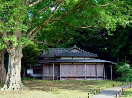 六義園の心泉亭 六義園の心泉亭の写真