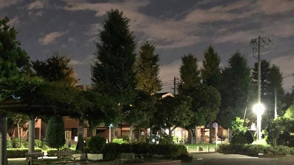 夜の街並み 夜の街並みの写真