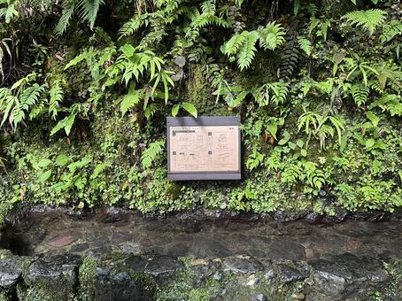 貴船神社 貴船,神社,京都の写真素材
