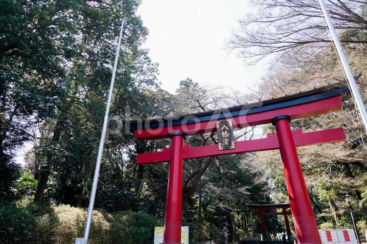 永福稲荷神社の入口風景 鳥居,神社,東京の写真素材