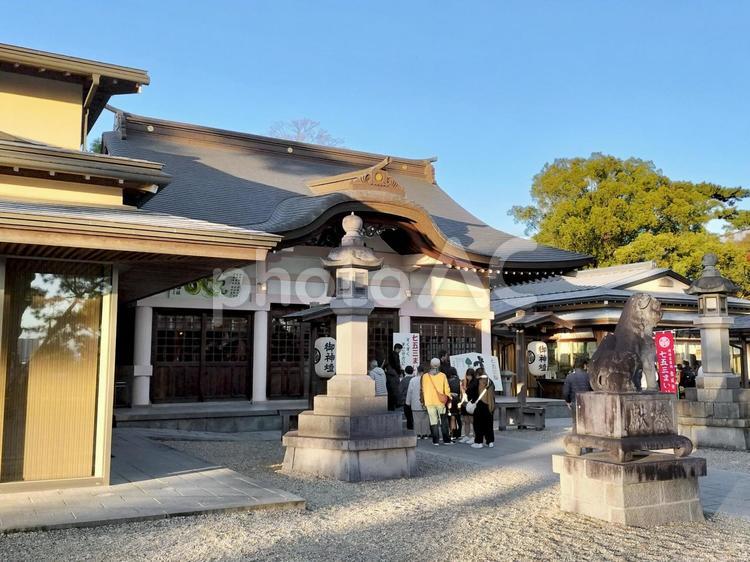岡崎城天守閣となりの龍城神社 龍城神社,岡崎城公園,岡崎城の写真素材