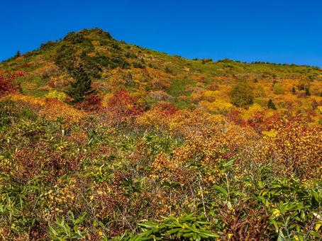 秋の一切経山 秋の一切経山 山,秋,自然の写真素材