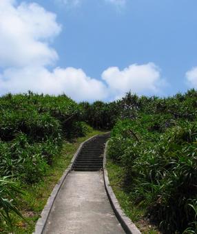 Photo, cape maeda, okinawa, onna village, 