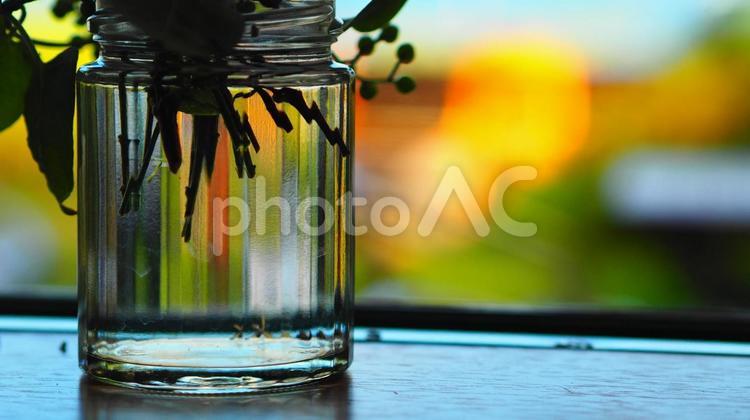 夏の空気感！花瓶越しの庭の景色 インテリア,花,テーブルの写真素材