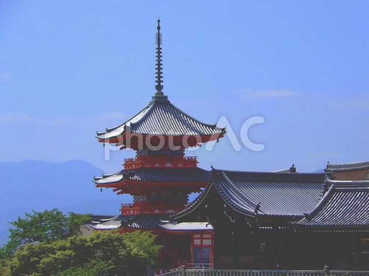 清水寺　三重塔 清水寺,三重塔,重要文化財の写真素材