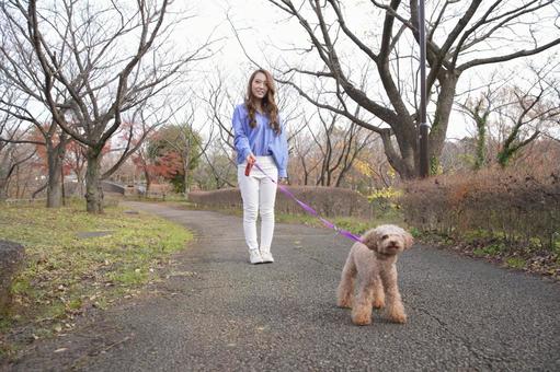 Woman walking in the park with her pet, a pet, toy poodle, poodle, JPG