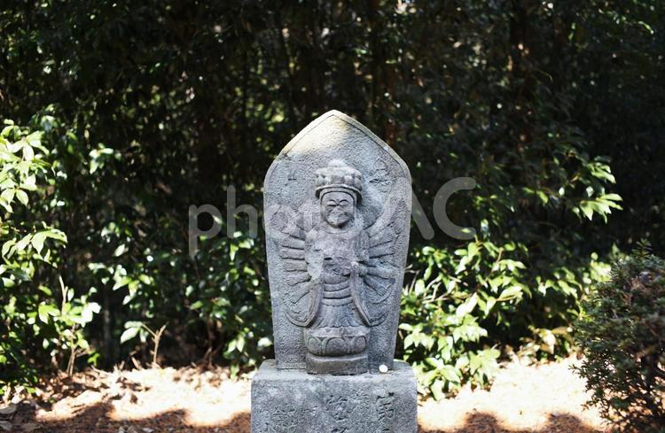 朝光寺の石仏 石仏,仏像,彫刻の写真素材