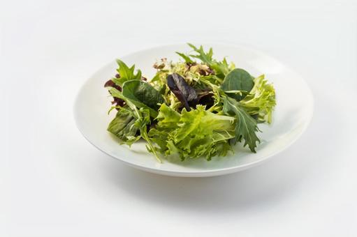 Hình ảnh, mesclun, xà lách xanh, rau sống, 