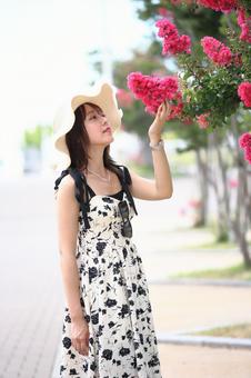 サルスベリの花を見る女性 サルスベリの花を見る女性の写真