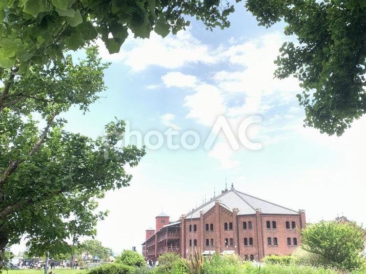 新緑の風景 赤レンガ,赤レンガ倉庫,新緑の写真素材