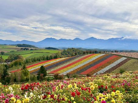 Photo, hokkaido, biei-cho, attractions, 
