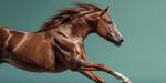 力強く走るサラブレッドの姿 馬,競走馬,ギャロップの写真素材
