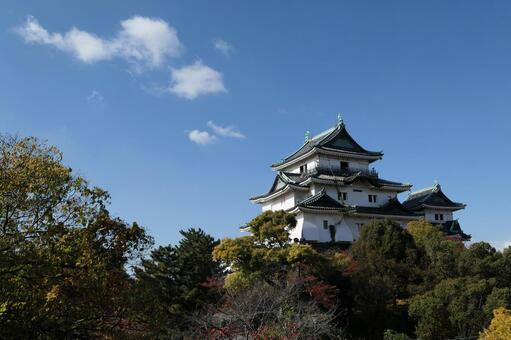 晴天の和歌山城 空,晴れ,風景の写真素材