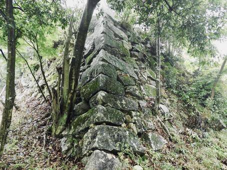 近江八幡山城の石垣2 近江八幡山城の石垣2 八幡山城,近江八幡市,城郭の写真素材