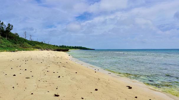 沖縄県うるま市津堅島のギガ浜・和名浜 沖縄県うるま市津堅島のギガ浜・和名浜 ギガ浜,和名浜,浜の写真素材