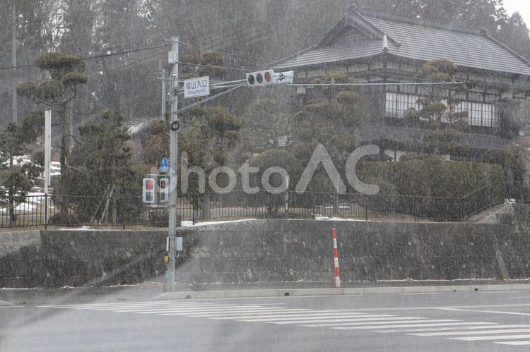 降雪の中　５ 冬,交差点,雪の写真素材