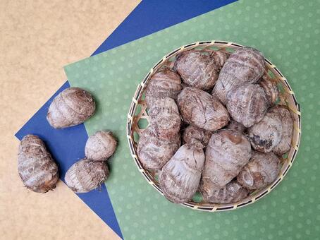 里芋_和紙バック_6 秋,野菜,里芋の写真素材