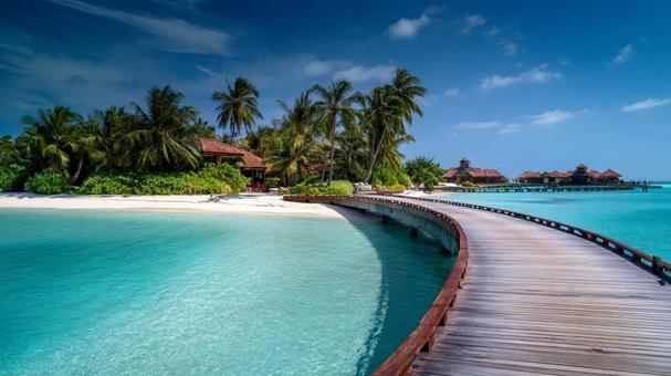 楽園の島と桟橋の写真