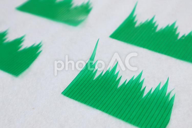 お弁当仕切り 仕切り,バラン,緑の写真素材