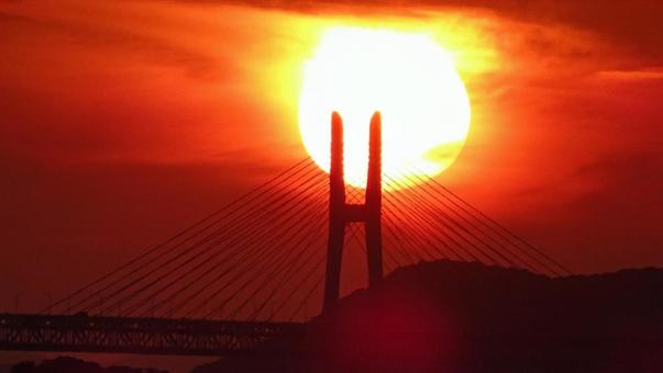 斜張橋と夕日 斜張橋と夕日の写真