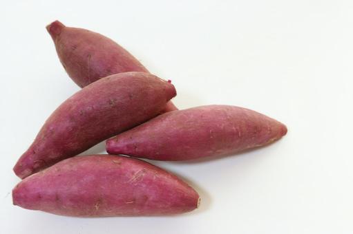 秋の味覚 おいしそうなサツマイモ 秋の味覚 おいしそうなサツマイモ 秋の味覚,サツマイモ,生の写真素材
