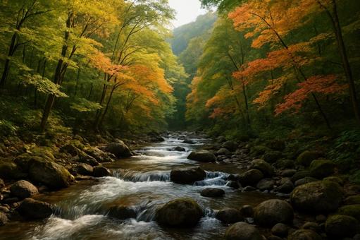 渓流沿いに広がる色づき始めた森 渓流沿いに広がる色づき始めた森の写真